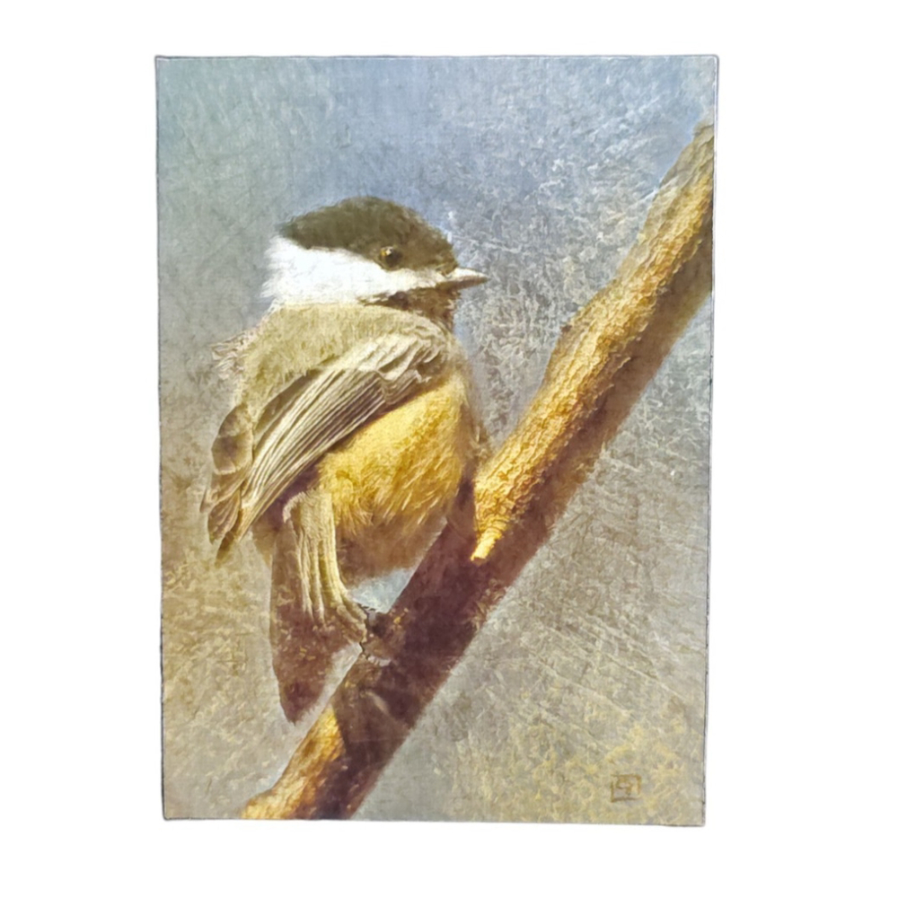 Aceo First Original Print Black Capped Chickadee Signed Jean Moore